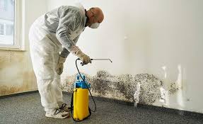 Best Industrial Mold Remediation  in Macon, IL