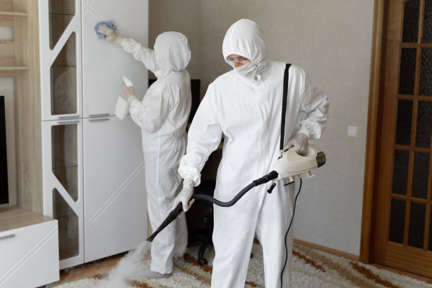 Best Water Damage & Mold Remediation  in Macon, IL