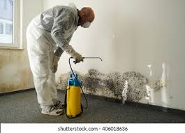 Best Mold Removal for HVAC Installations  in Macon, IL